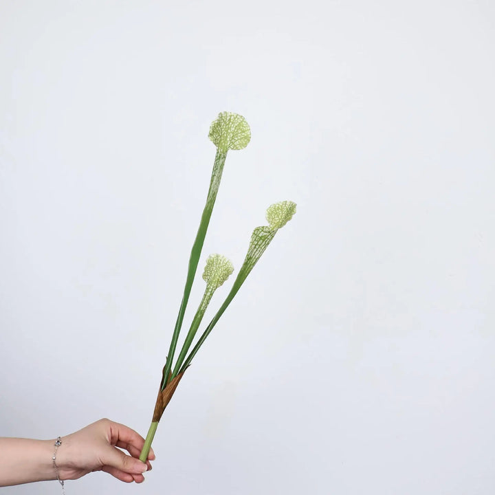 Maris 17 Inch Artificial Bottle Brush Plant
