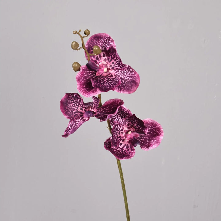 Dante 30 inch Phalaenopsis Orchid Artificial Flower