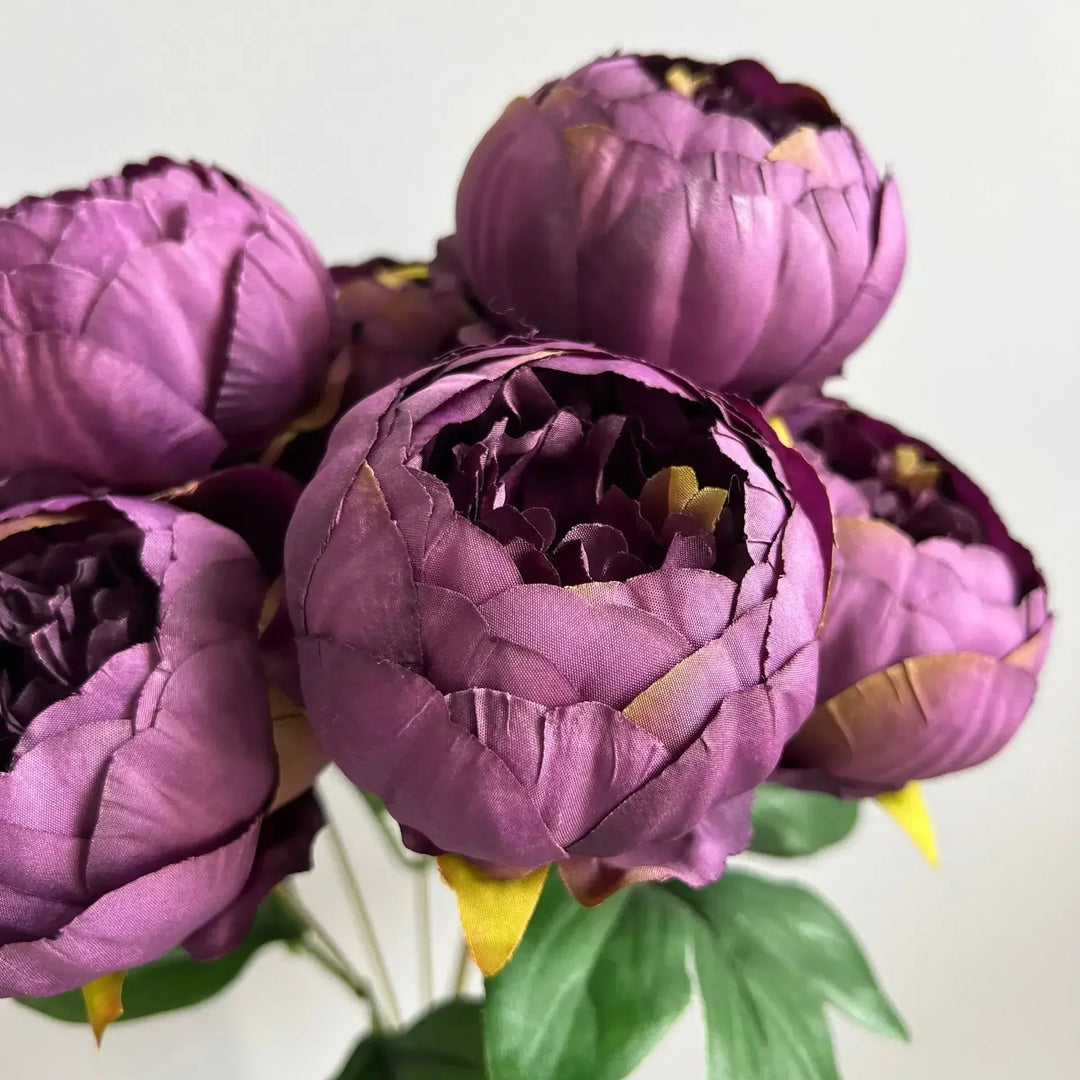 7 Large Peony Bloom Bundle
