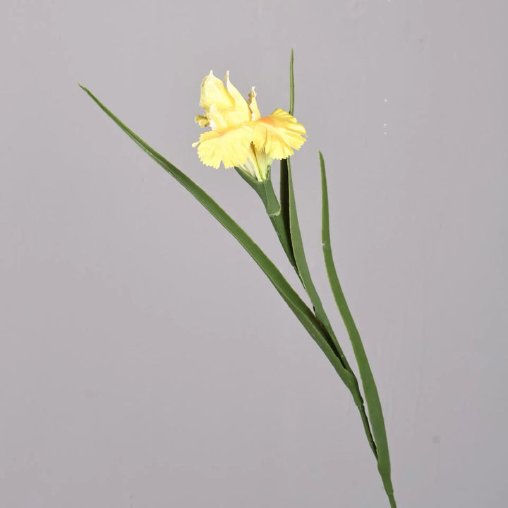 Clara 27 inch Faux Iris Flower