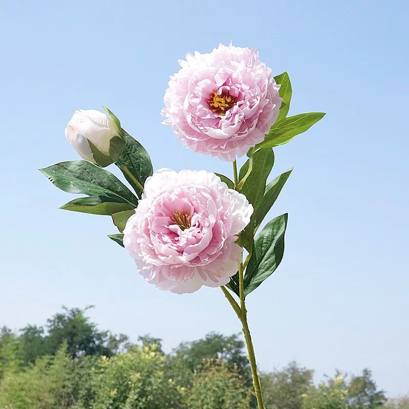 Briar 29 Inch Yangfei Peony Artificial Flower