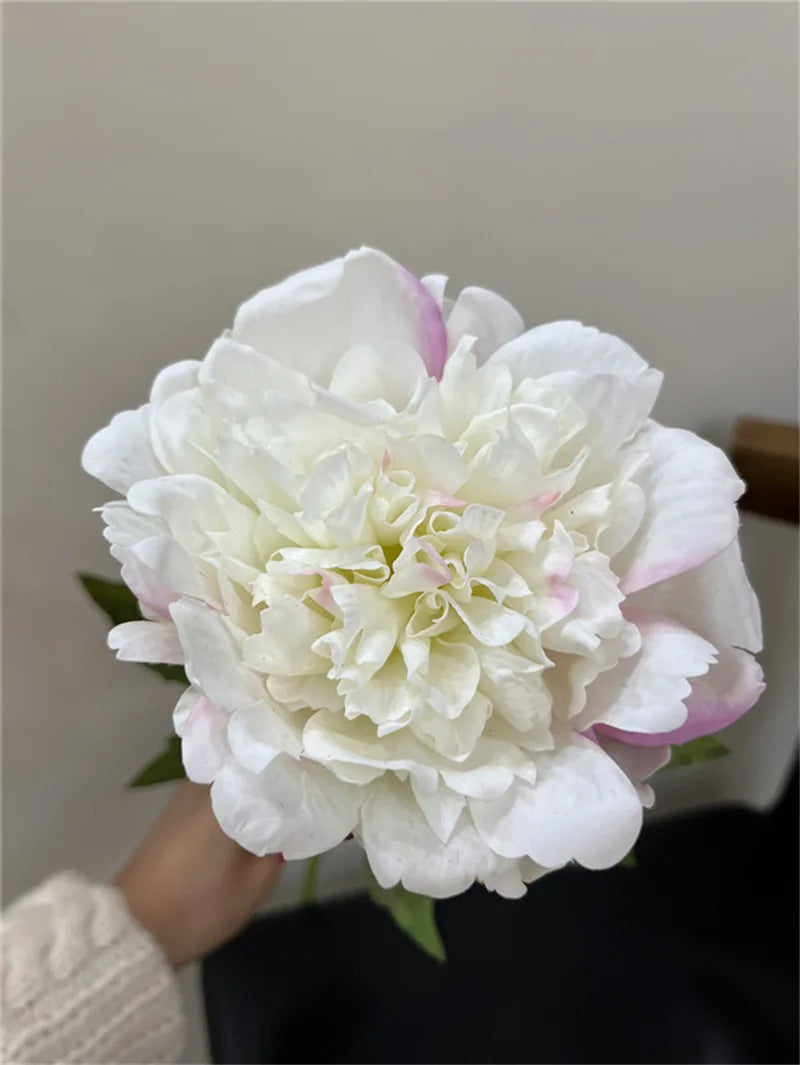 Full Bloom Peony Flowers