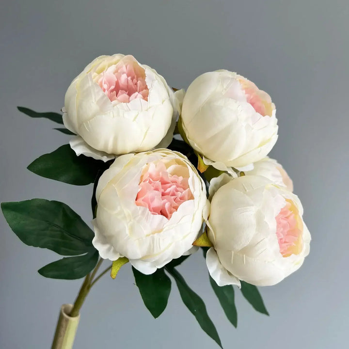 7 Large Peony Bloom Bundle