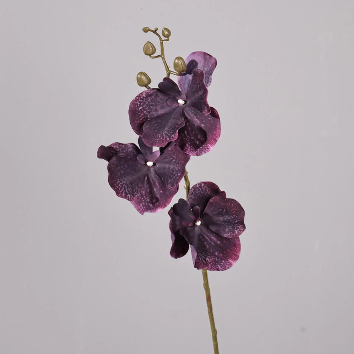 Dante 30 inch Phalaenopsis Orchid Artificial Flower